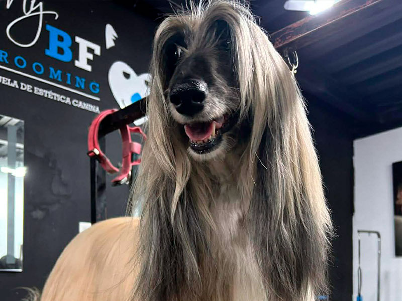 Barbería